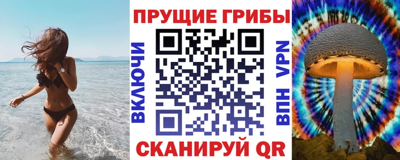 сколько стоит  Ухта  Псилоцибиновые грибы Psilocybe 
